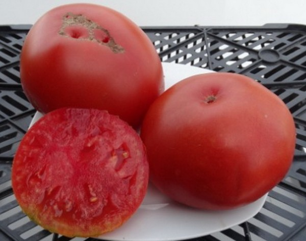 ✅ Tomato Masterpiece: variety varieties, description and yield with photo