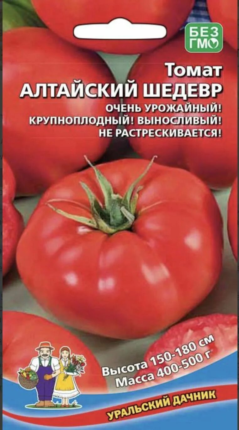 Помидор алтайский фото описание Томаты Уральский дачник Томат - купить по выгодным ценам в интернет-магазине OZO