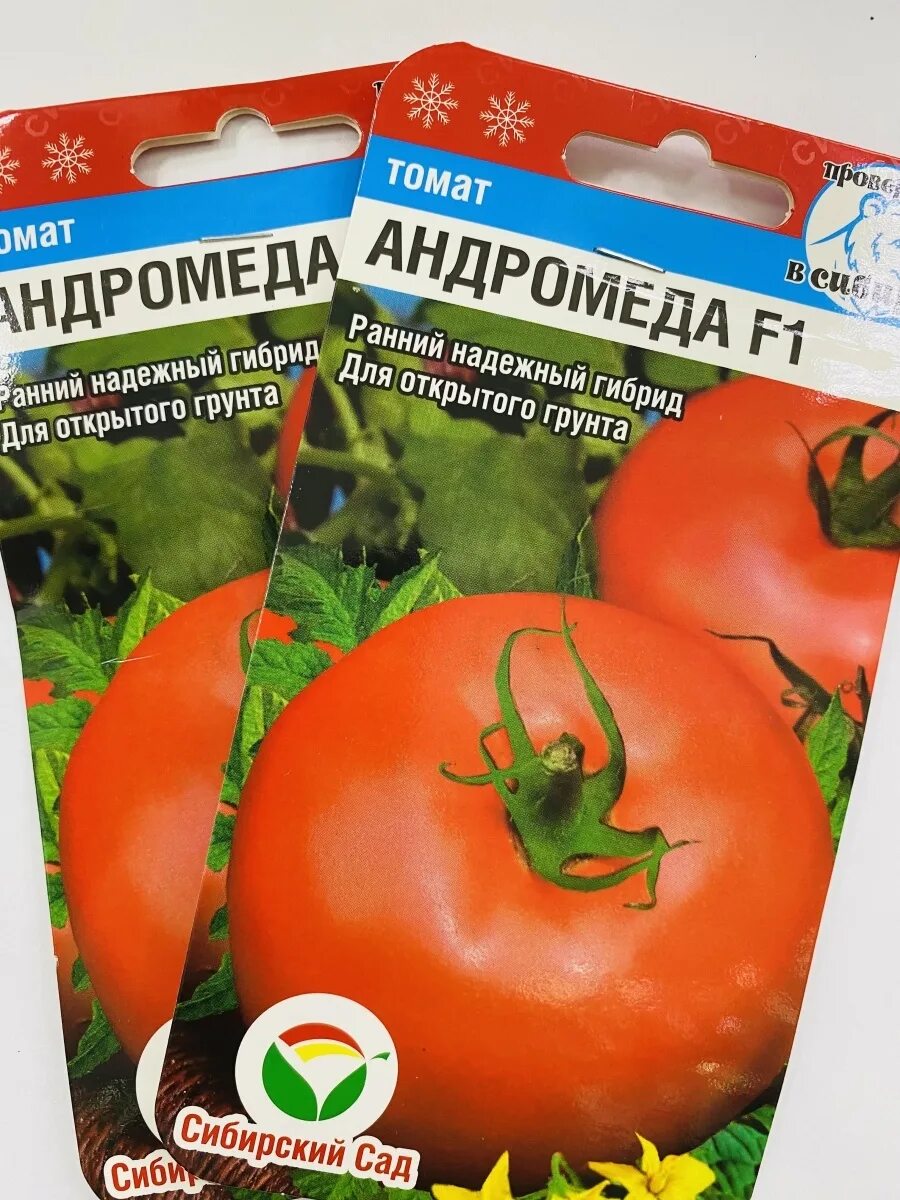 Помидор андромеда отзывы фото Томат розовая андромеда - MosRosa.ru