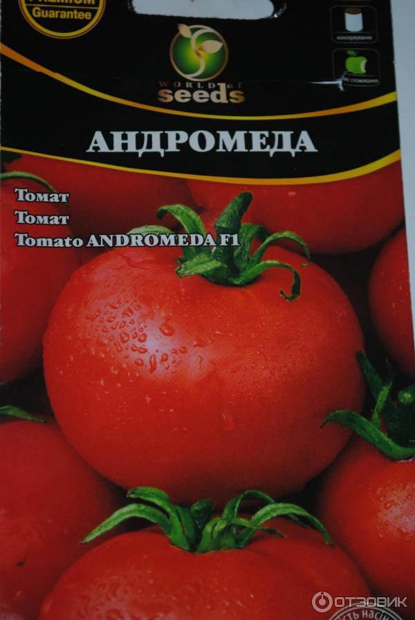 Помидор андромеда отзывы фото Отзыв о Семена томата Premium "Андромеда" Хороший урожай