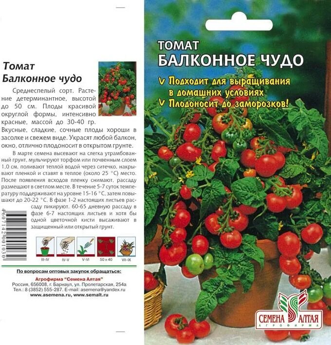 Помидор балконное чудо фото отзывы описание Томат Балконное Чудо/Сем Алт/цп 0,1 гр. Цена за 2 пакетика. Семена овощей