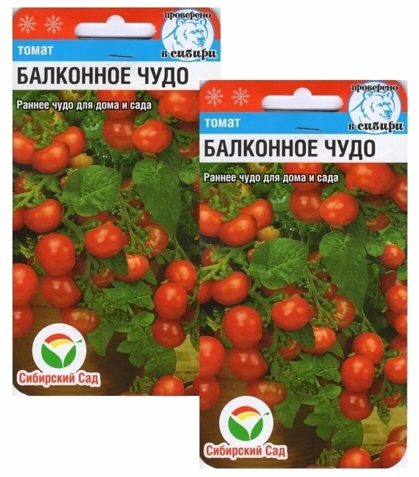 Помидор балконное чудо фото отзывы описание Томат Балконное чудо 2 пакета по 20шт семян - купить по выгодной цене на Яндекс 