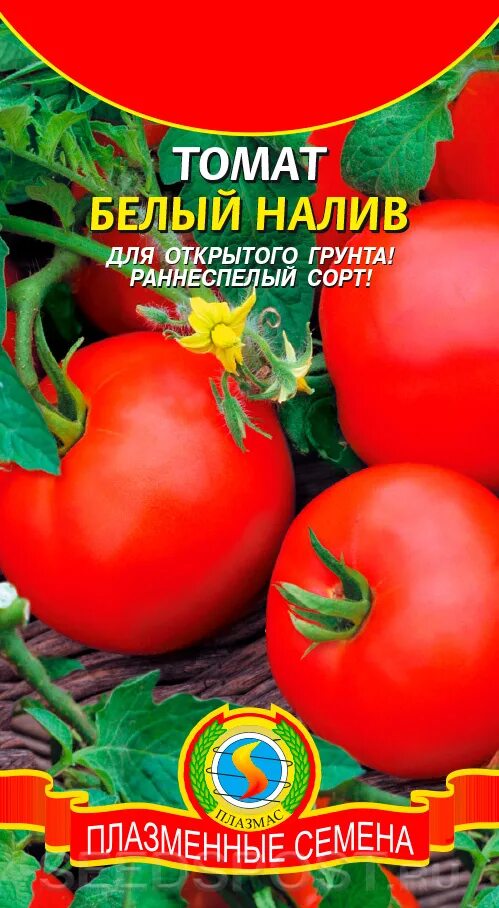 Помидор белый налив отзывы фото Томат Белый налив, 25 шт., купить в интернет магазине Seedspost.ru