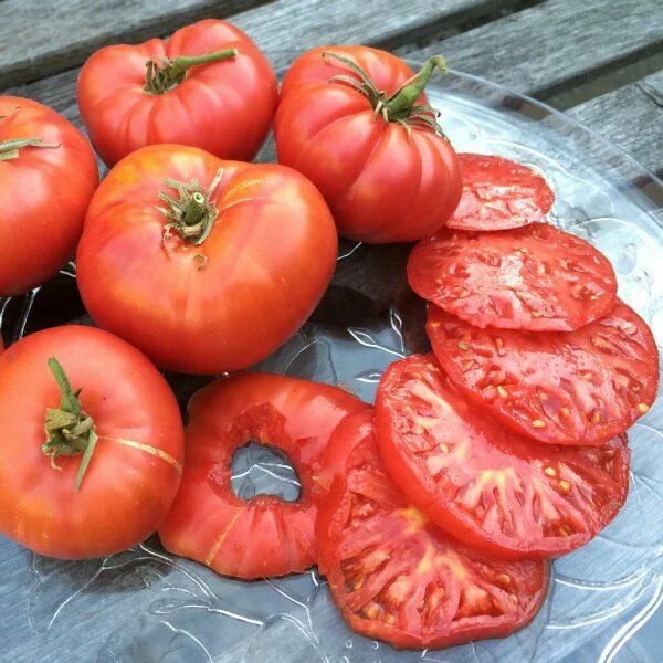 Помидор бифштекс фото Growing Tomatoes, How to Grow Tomatoes, Planting Tomatoes Tomato, Varieties of t