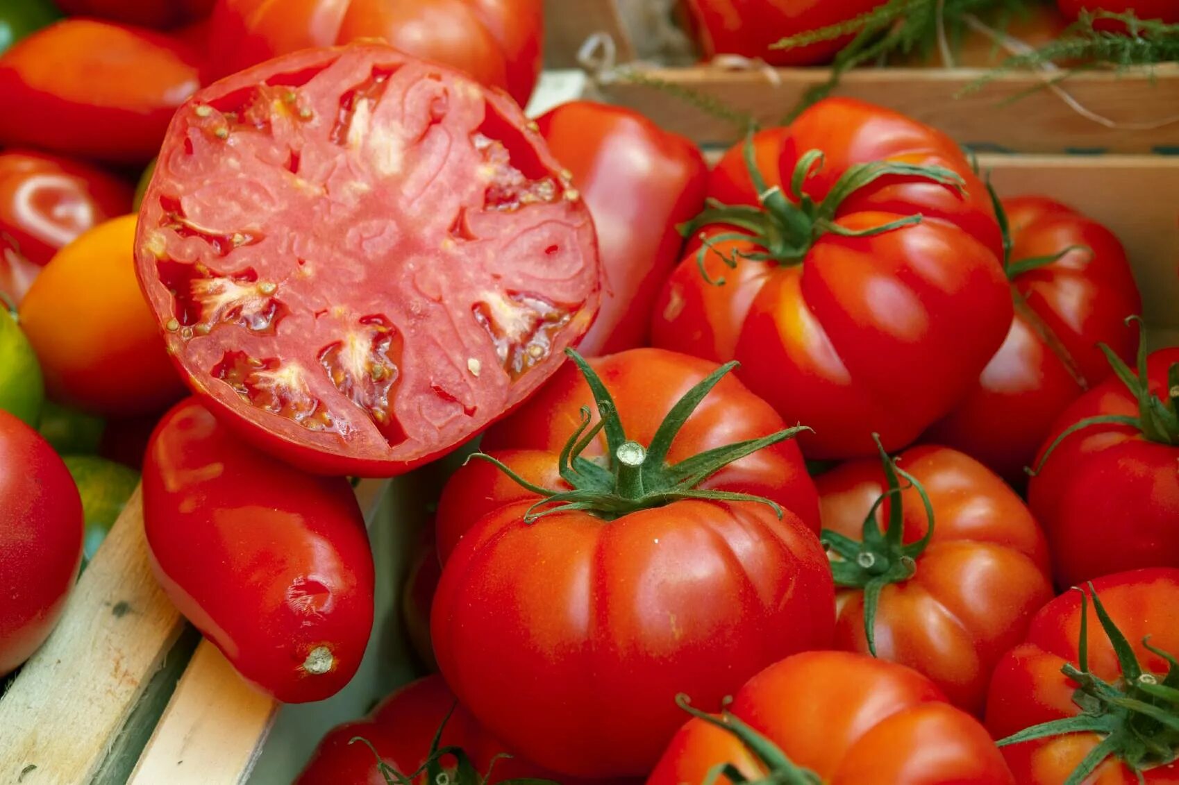 Помидор бифштекс фото Tomate cœur de bœuf : la supercherie continue Pratique.fr