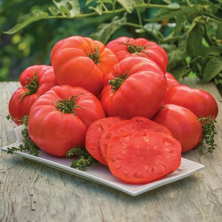 Помидор бифштекс фото Ready to try a new Beefsteak Tomato this year that will grow in a container? Giv