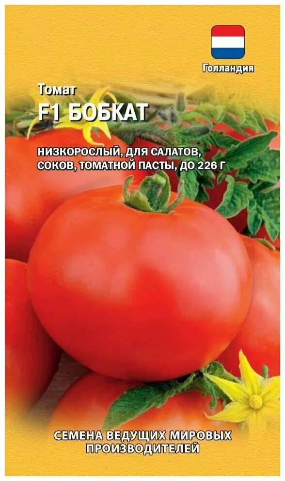 Помидор бобкат фото и описание Томат Диво Дивное, 25 семян - купить в интернет-магазине по низкой цене на Яндек