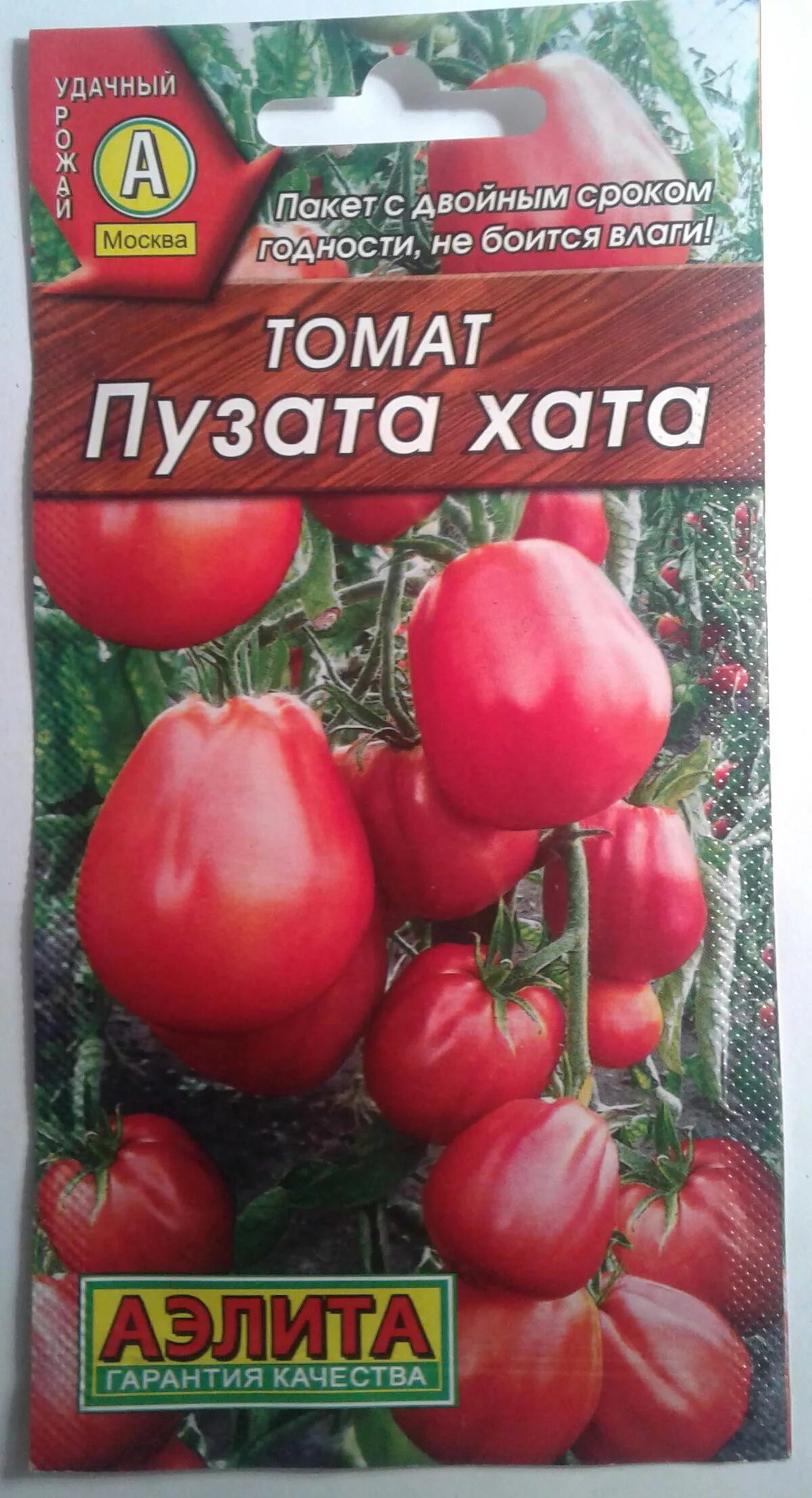 Помидор богата хата фото Томат Пузата хата. I этап. Посев