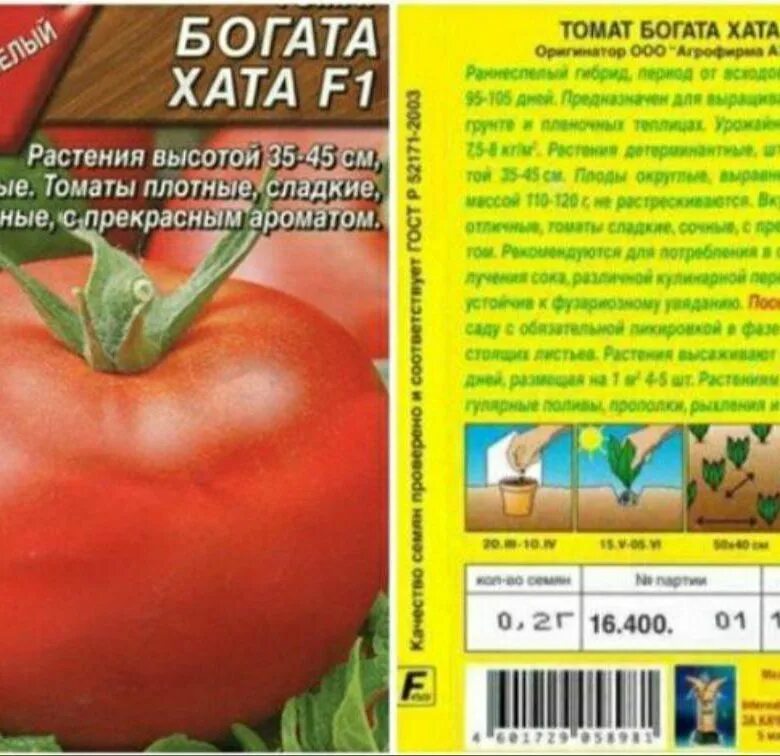 Помидор богата хата описание сорта фото Томат Толстосум Аэлита: фото и характеристика Природная галерея Фотогалерея прир