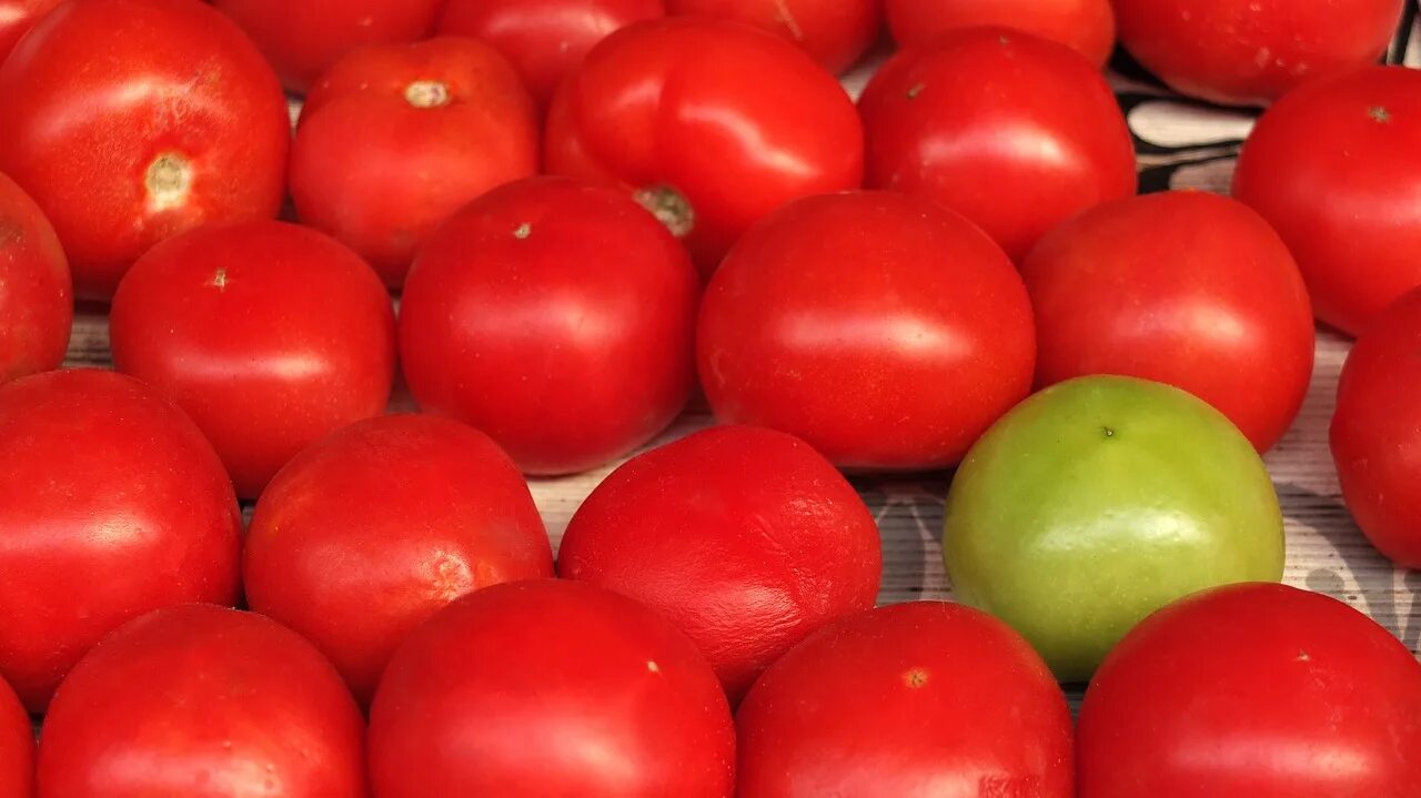 Помидор болгарский фото Tomatoes,red,green tomato,fresh,food - free image from needpix.com