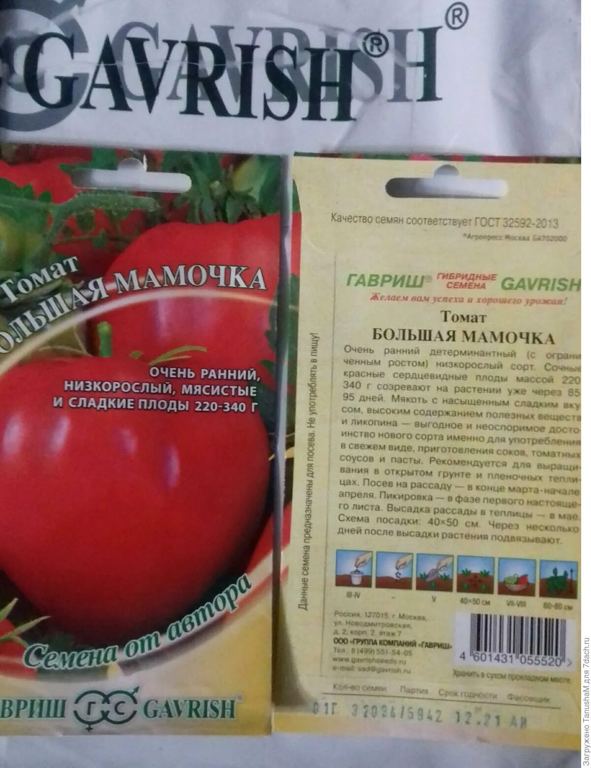 Помидор большая мамочка отзывы фото Томат Большая мамочка. I этап. Тест на всхожесть