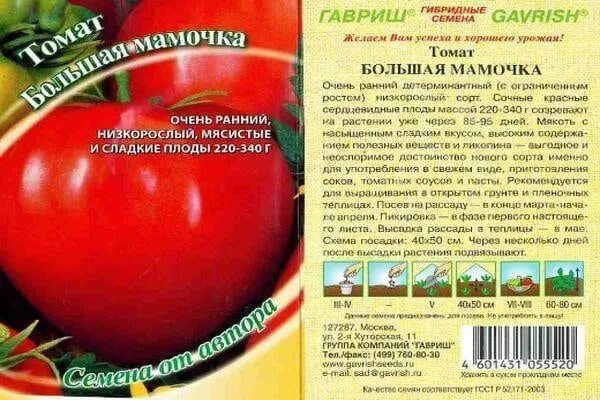 Помидор большая мамочка отзывы фото Продаю рассаду Перец сладкий сорт,,Болгарец" 1шт,-50руб Томат,,Большая мамочка".