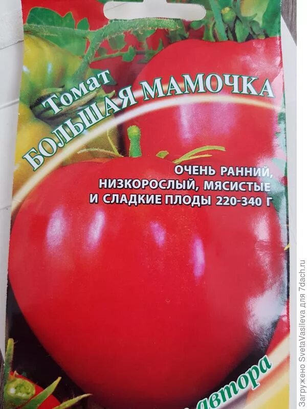 Помидор большая мамочка отзывы фото Томат Большая Мамочка. I этап. Посев