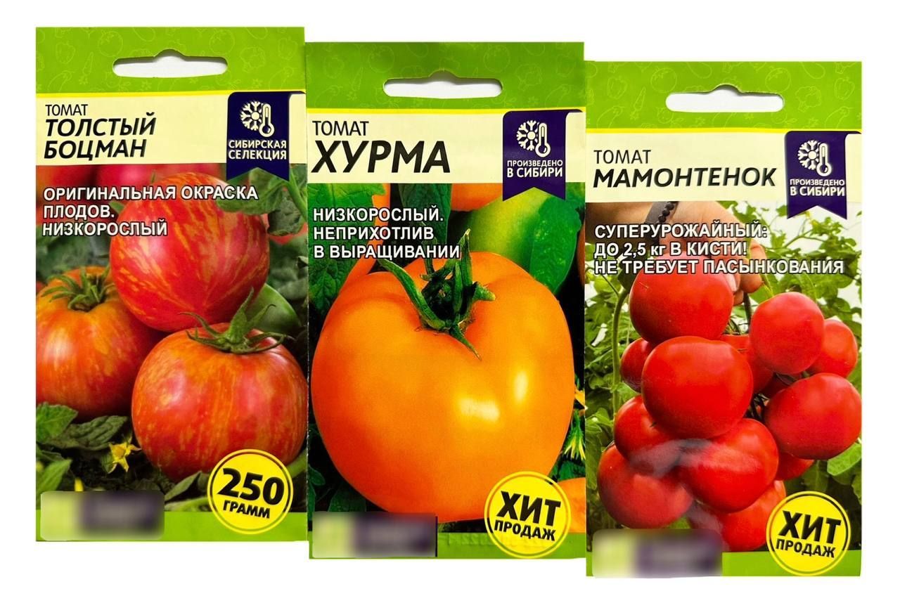 Помидор боцман описание фото Томаты Семена Алтая томатов низкорослые детерминантные Мамонтенок, Хурма,Толстый