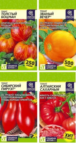 Помидор боцман описание фото Томаты Семена Алтая томатов: Толстый боцман, Званый вечер, Сибирский пируэт, Алт