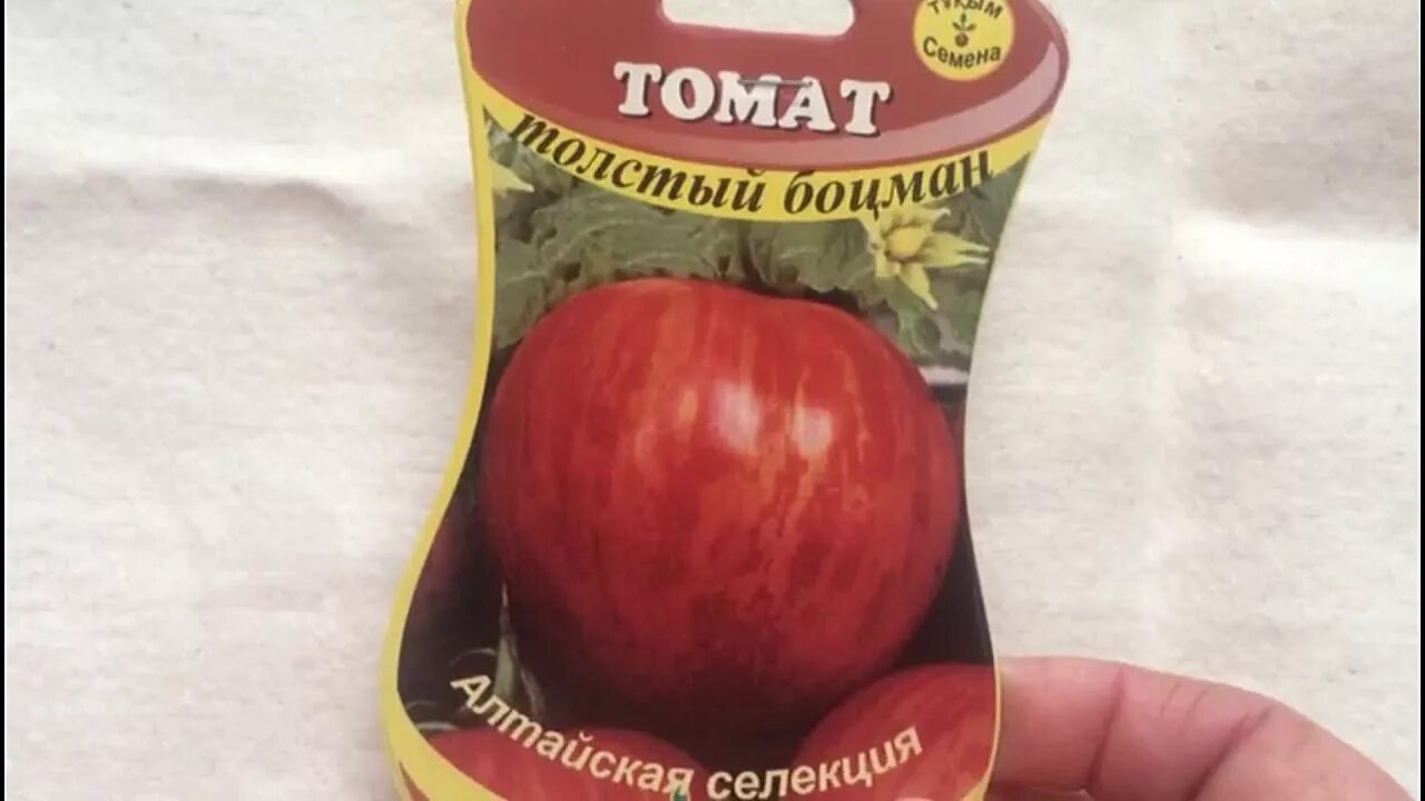 Помидор боцман описание фото Толстый боцман!! Еще один интересный сорт томата из коллекции полосатых.. Почему