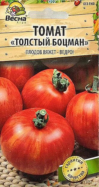 Помидор боцман описание фото Томат боцман характеристика и описание: найдено 79 изображений
