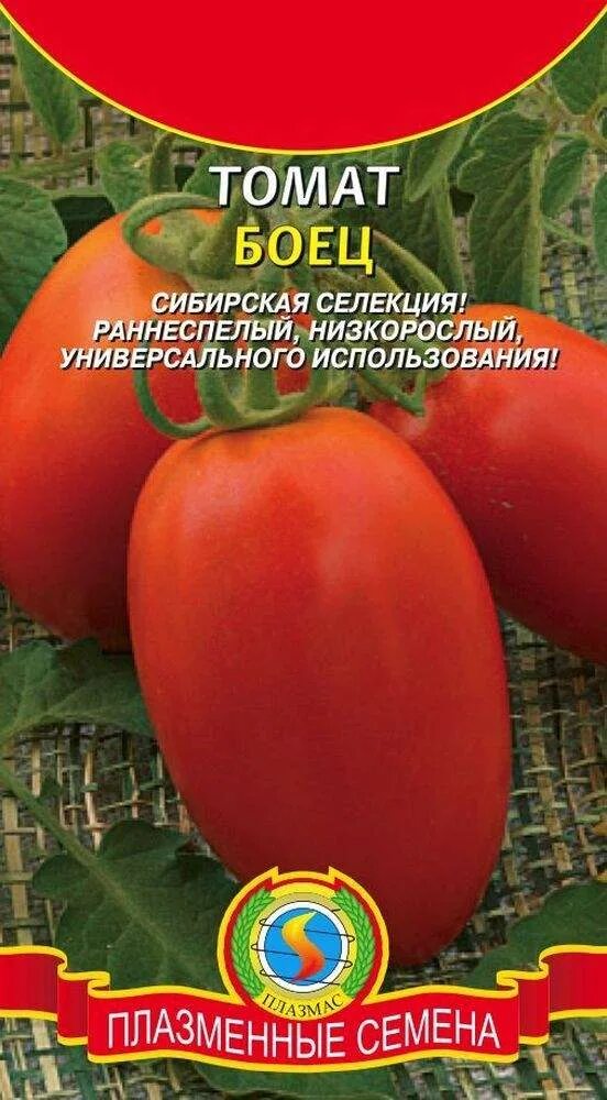 Помидор буян фото Купить семена Томат Боец (Буян) (п) 20шт с доставкой курьером и почтой в интерне