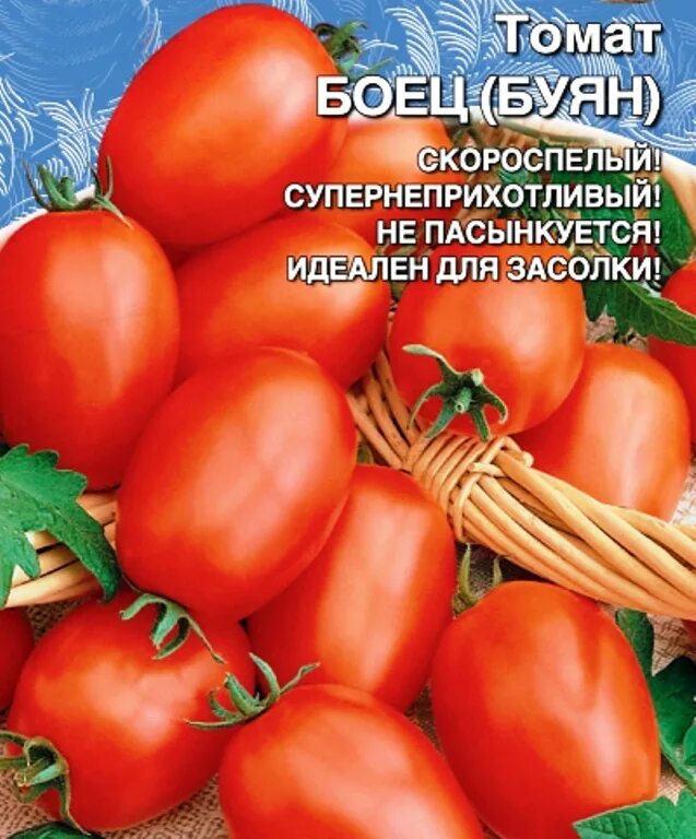 Помидор буян фото Семена Томат Боец (Буян): описание сорта, фото - купить с доставкой или почтой Р