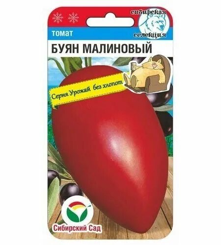 Помидор буян фото Сибирский сад 63310 - купить по выгодным ценам в интернет-магазине OZON (8724930