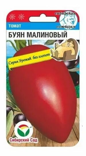 Помидор буян описание сорта фото Томат Буян Малиновый 20шт