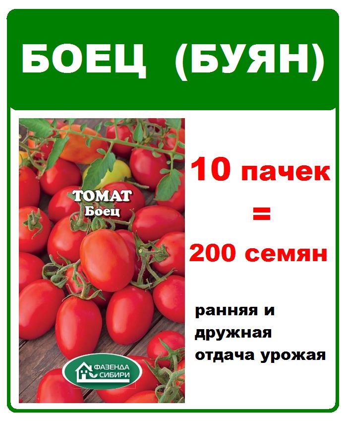 Помидор буян описание сорта фото отзывы садоводов Томаты Фазенда Сибири FSтоматы_1 - купить по выгодным ценам в интернет-магазине 