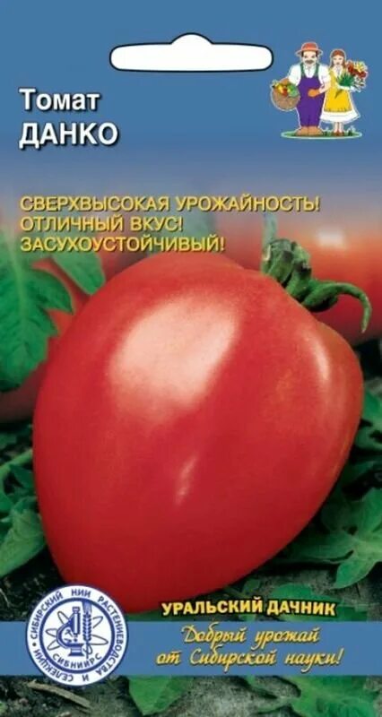 Помидор данко описание сорта фото Семена Томат Данко Низ. 20шт - купить в интернет-магазине по низкой цене на Янде