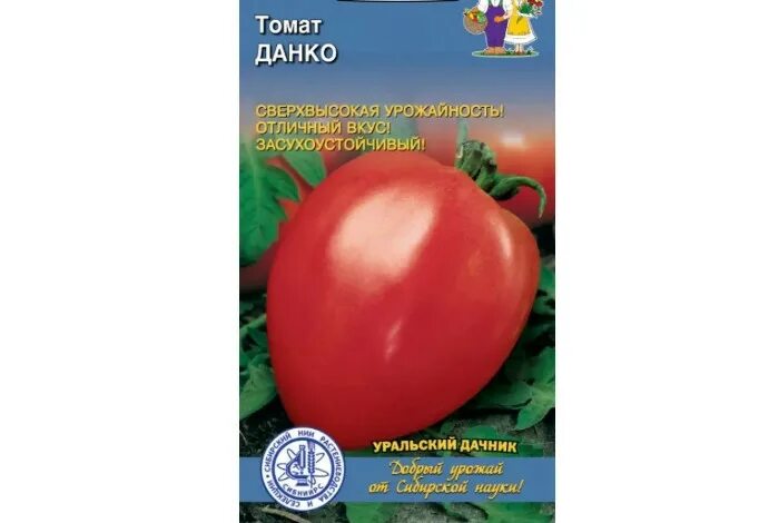 Помидор данко описание сорта фото Томат Данко описание сорта и особенности выращивания