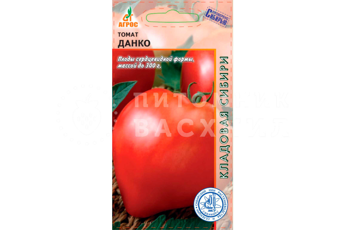 Помидор данко описание сорта фото Семена томата сорт Данко купить Питомник ВАСХНиЛ