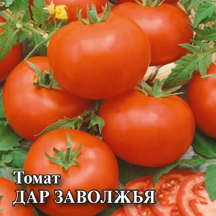 Помидор дар заволжья фото ✔ Семена Томат Дар Заволжья, 25г, Гавриш, Фермерское подворье по цене 423,20 руб