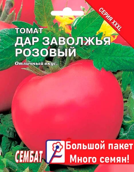 Помидор дары заволжья описание сорта фото Томаты Сембат Томат XXXL - купить по выгодным ценам в интернет-магазине OZON (47