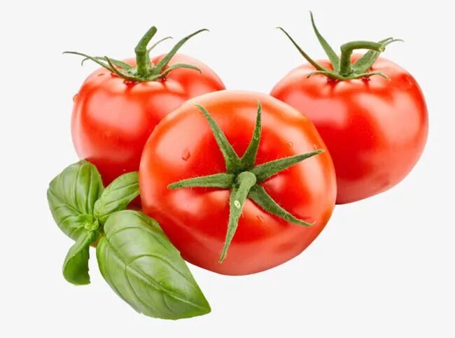 Помидор фото для детей Tomate Tomate PNG , Legumes, Clipart De Tomate, Clipart De Tomate Imagem PNG e P