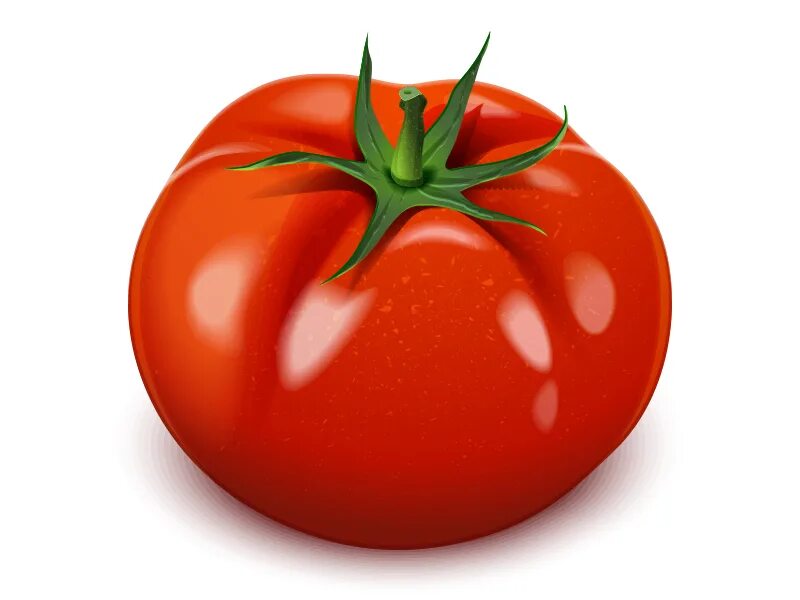 Помидор фото для детей Tomato vector icon. by Indie Khisamutdinova on Dribbble