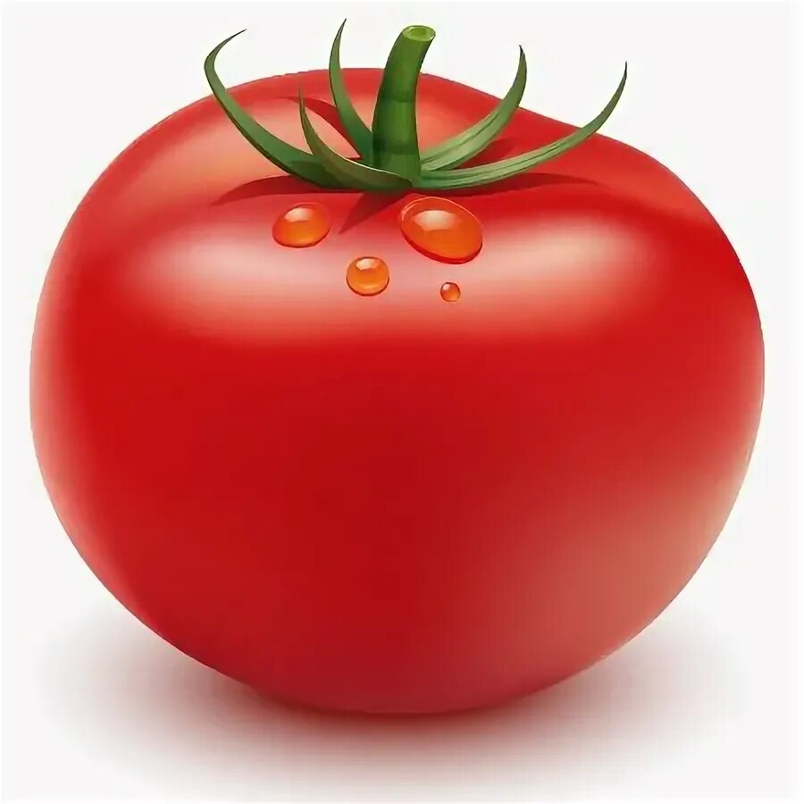 Помидор фото для детей How to Illustrate a Tomato Using Adobe Illustrator Adobe illustrator tutorials, 