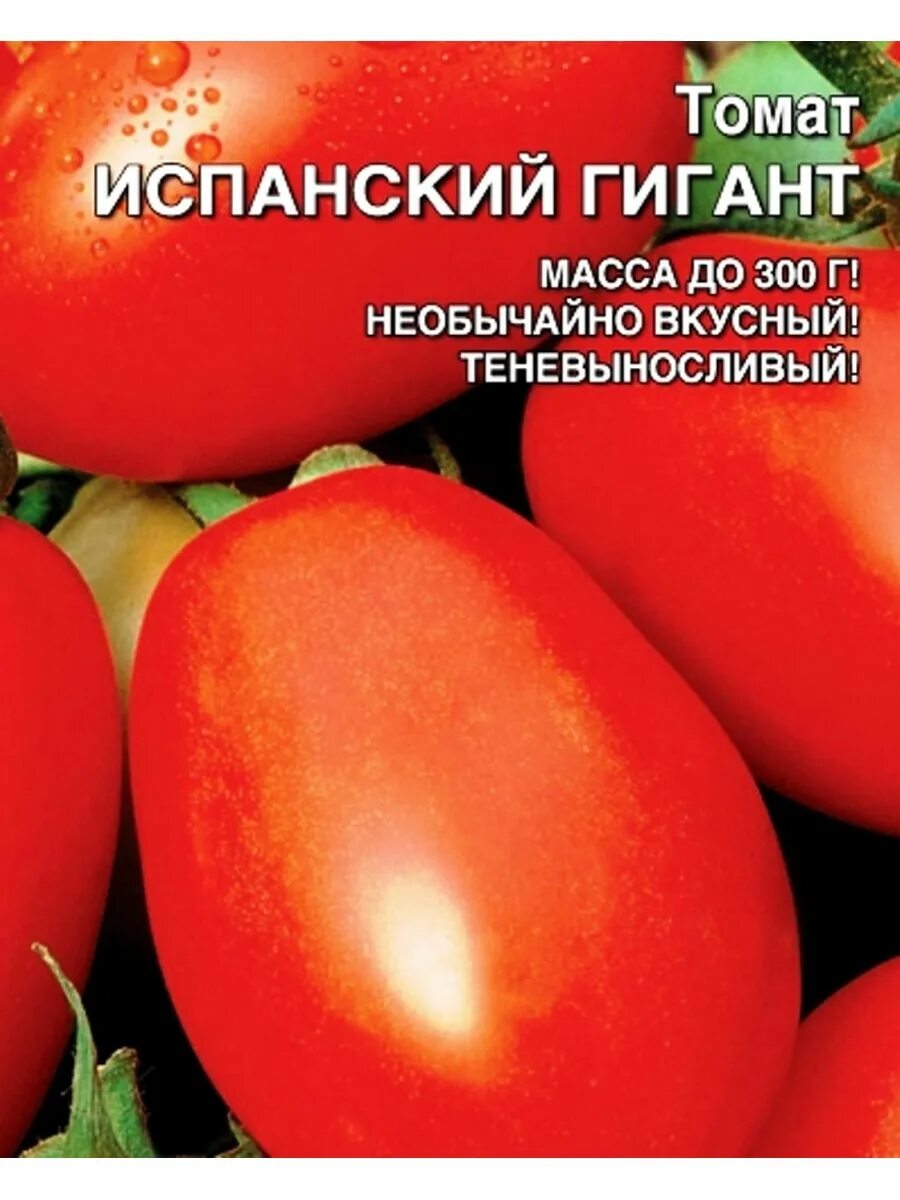 Помидор гигант фото и описание Томат Испанский гигант Уральский Дачник 155129726 купить за 131 ₽ в интернет-маг