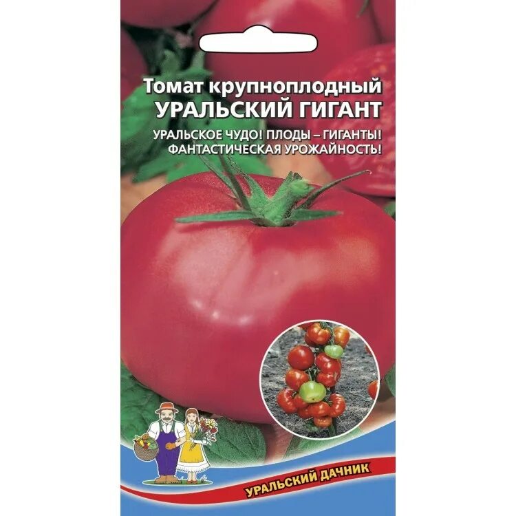 Помидор гигант фото и описание Томат Уральский гигант 20шт. (Уральский дачник)