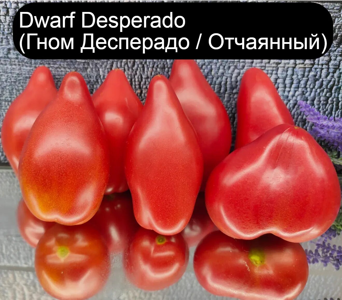 Помидор гном фото Семена томата Набор № 1 (низкорослые) серия Гномы (Dwarf Tomato Project) 9 сорто