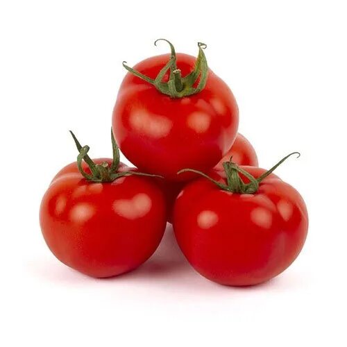 Помидор икрам фото Помидоры икрам