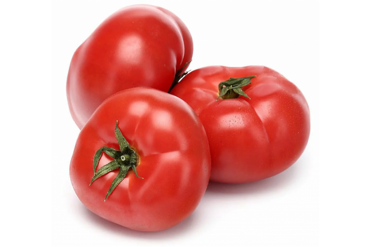 Помидор икрам фото Помидоры Икрам