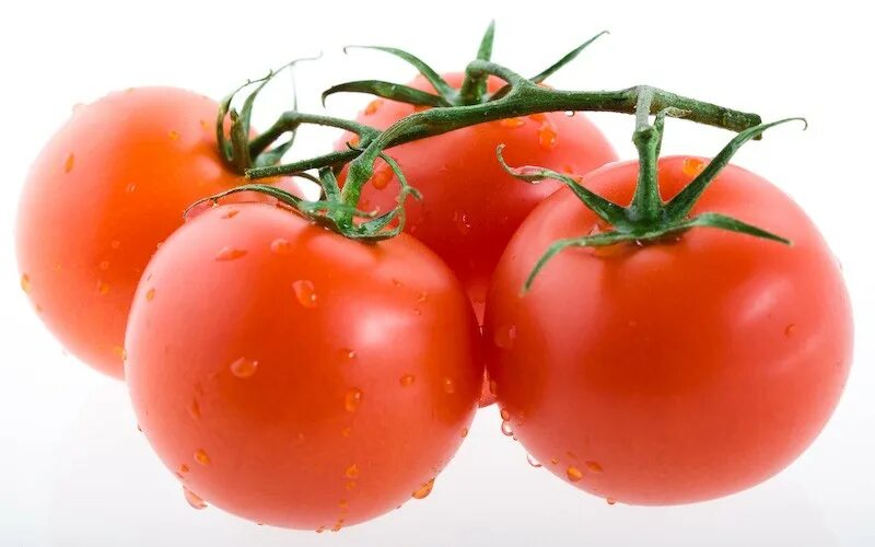 Помидор икрам фото Помидор на ветке