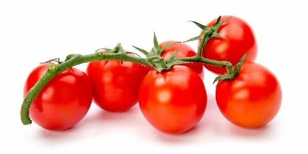 Помидор икрам фото Pin on Orto e giardino