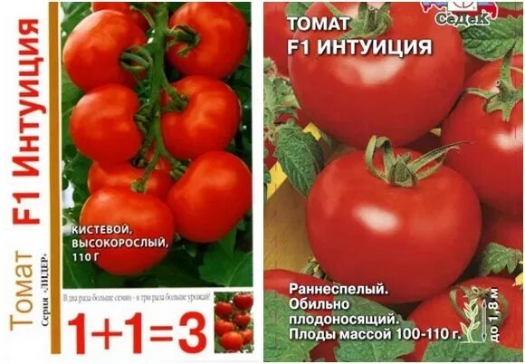 Помидор интуиция описание фото отзывы ✅ Tomato Intuition: characteristics and description of the variety, yield with p