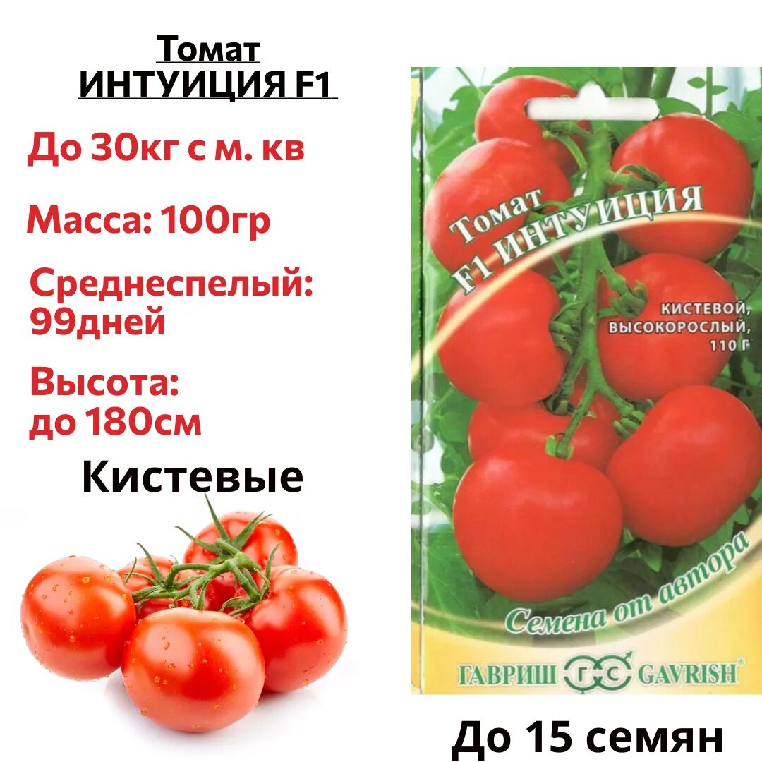 Помидор интуиция описание фото отзывы Томаты Гавриш tomatoss12 - купить по выгодным ценам в интернет-магазине OZON