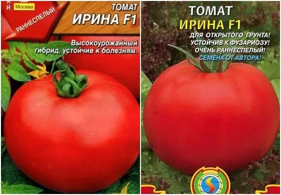 Помидор ирина фото ✅ Tomato Irina: characteristics and description of the variety, yield with photo