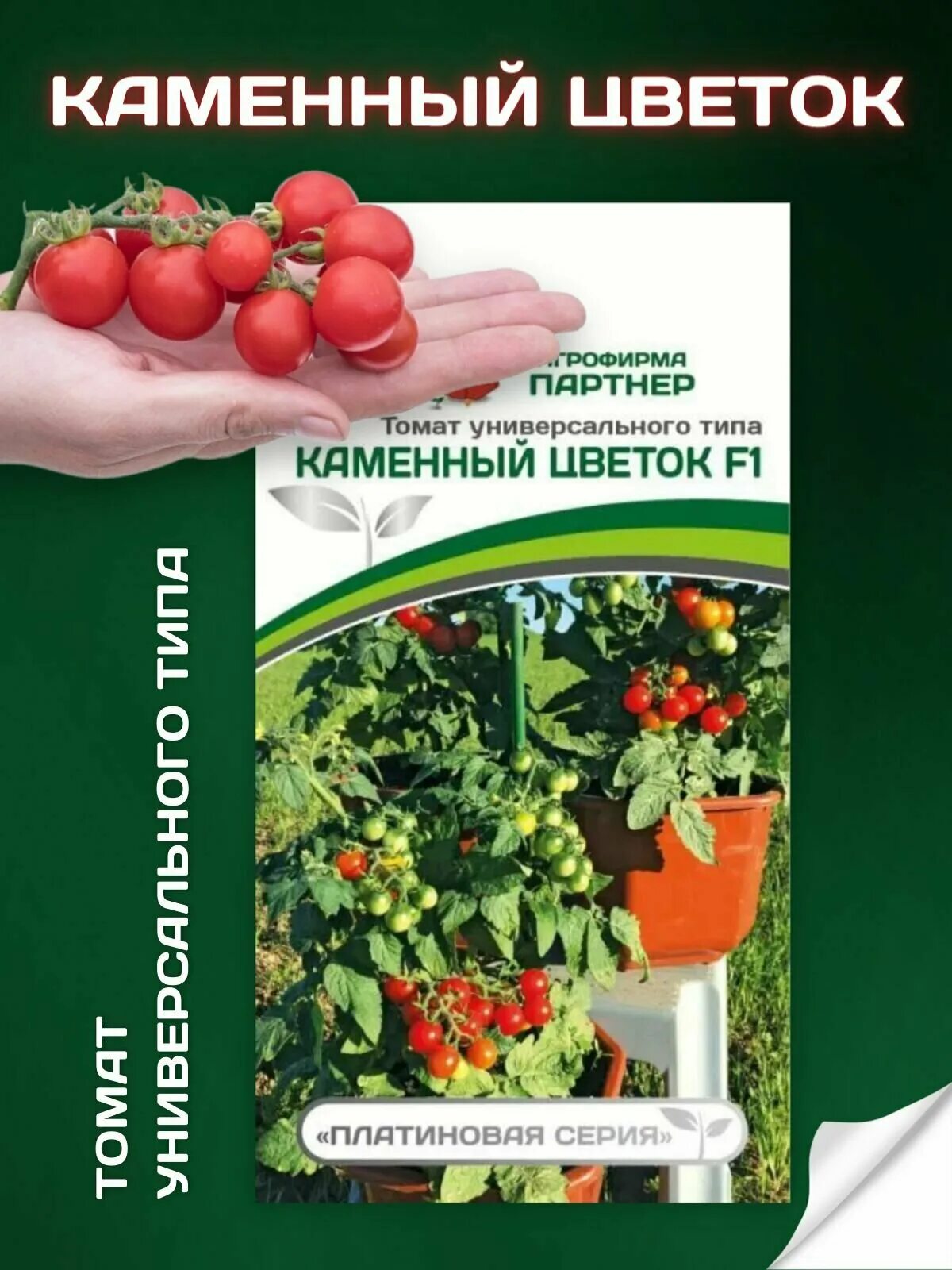 Помидор каменный цветок описание отзывы фото Агрофирма Партнер, Семана томата "Каменный цветок" - купить в интернет-магазине 