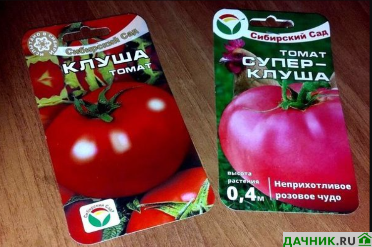 Помидор клуша фото Томат Клуша: обзор вкусного сорта Дачник.RU Дзен