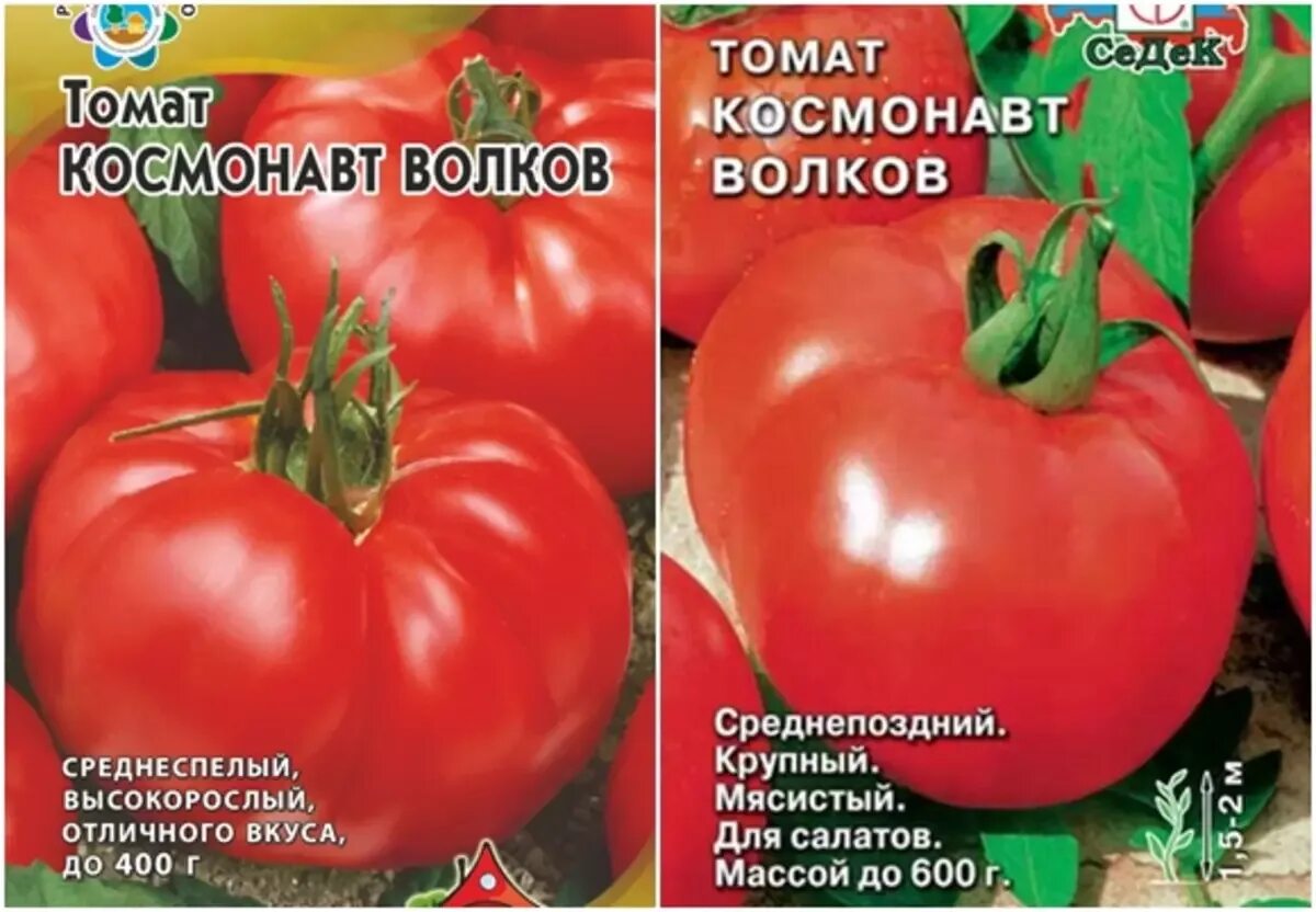 Помидор космонавт волков описание сорта фото Томат космонавт отзывы: найдено 79 картинок