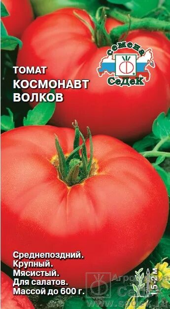 Помидор космонавт волков описание сорта фото Томат Космонавт Волков