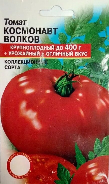 Помидор космонавт волков описание сорта фото Томат космонавт волков описание сорта фото отзывы фото - Arhids.ru