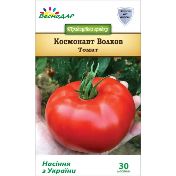 Помидор космонавт волков описание сорта фото Помидоры космонавт волков фото - 80 картинок